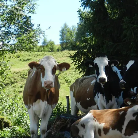 Biohof Vorderreith Κατάλυμα σε φάρμα Γιόχμπεργκ