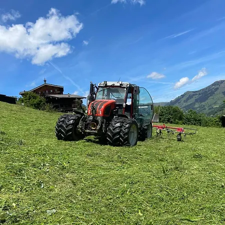 Biohof Vorderreith *