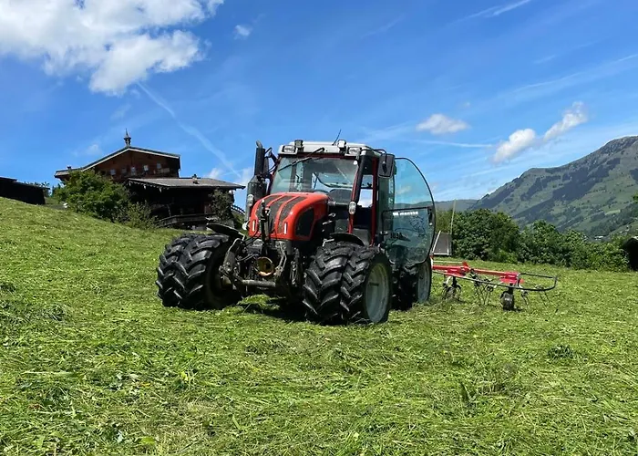 Biohof Vorderreith *