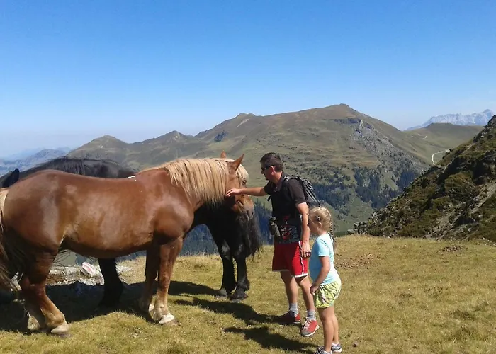 Feriegård Biohof Vorderreith Jochberg