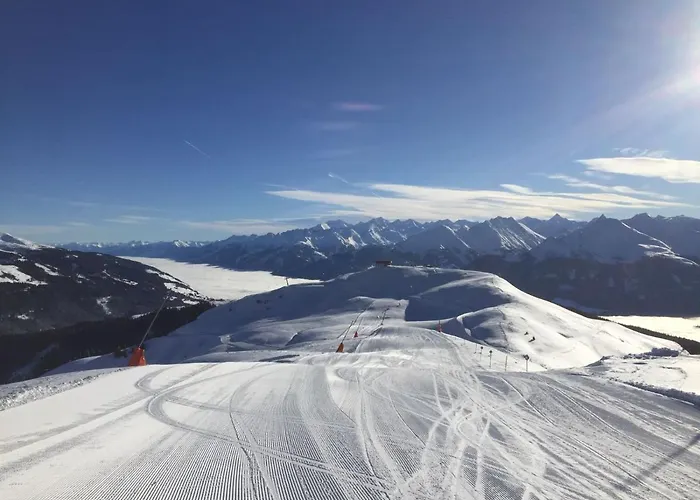 Biohof Vorderreith Farma