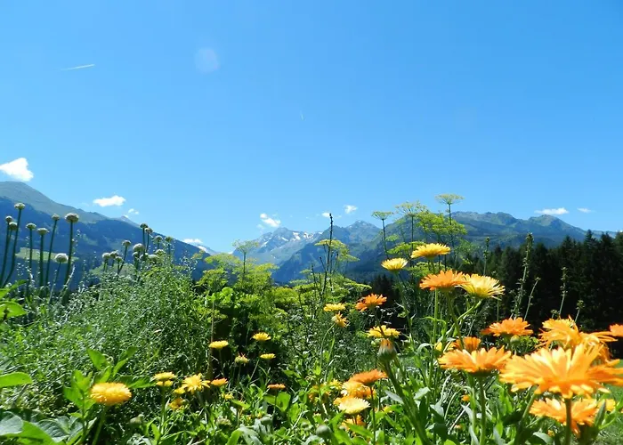 Biohof Vorderreith Farma Jochberg