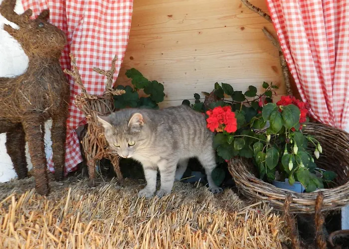 Vakantieboerderij Biohof Vorderreith *