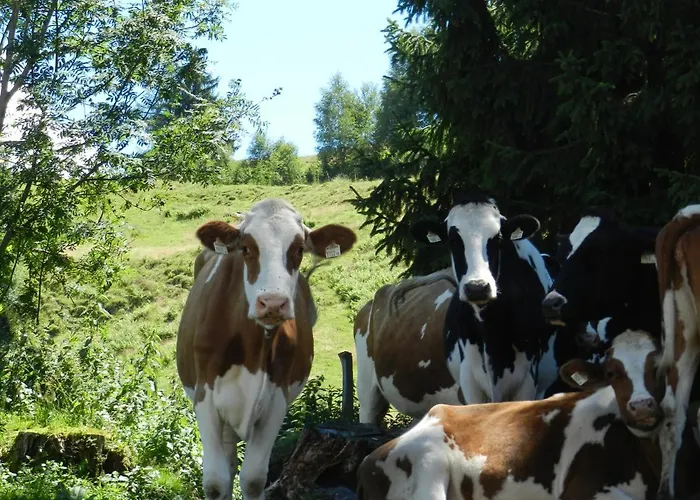 Biohof Vorderreith Vakantieboerderij Jochberg